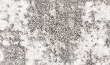 Ковровое покрытие Принт Сильва 9024  3,0м