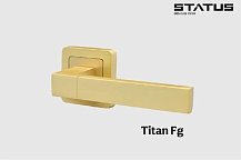 Ручка квад розетка "TITAN" S-12 сатин золото STATUS