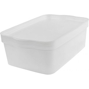 Ящик для хранения 6л Keeplex Trendy 32х21,1х11см белый