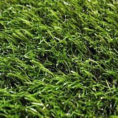 Искусственная трава Macao Grass 20 мм 1*2 м 2цв.