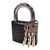 Замок навесной `ЧИБИС` HCA 350 50мм чугун,полимер покр, дуж(d=8) Blister